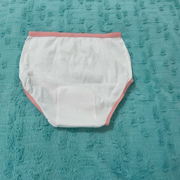 2/$10 Women’s Incontinence Protective Panty. Washable & Reusable Mesh Pocket. - Picture 9 of 14